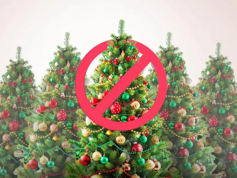 As Christmas Approaches, One City Has Instructed its Employees to Avoid Decorating With Red and Green Lights