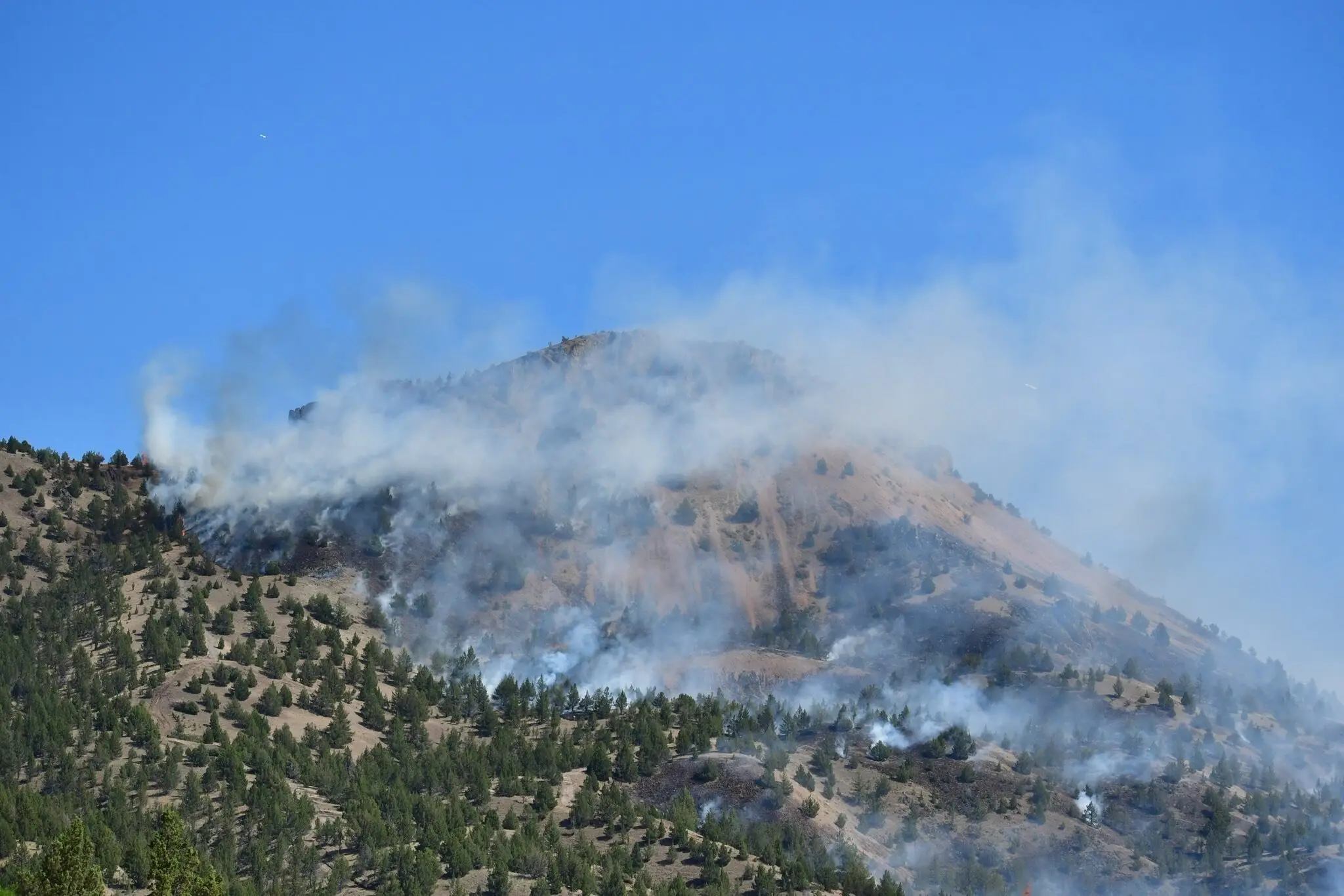 Cram Fire Grows to Largest Wildfire in U.S. So Far This Year