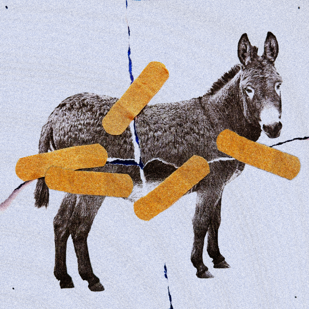 James Carville: My Fix for the Confused and Leaderless Democrats