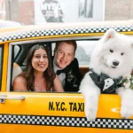 They Met at Summer Camp. Now Their Famous Dog Is Stealing Hearts.