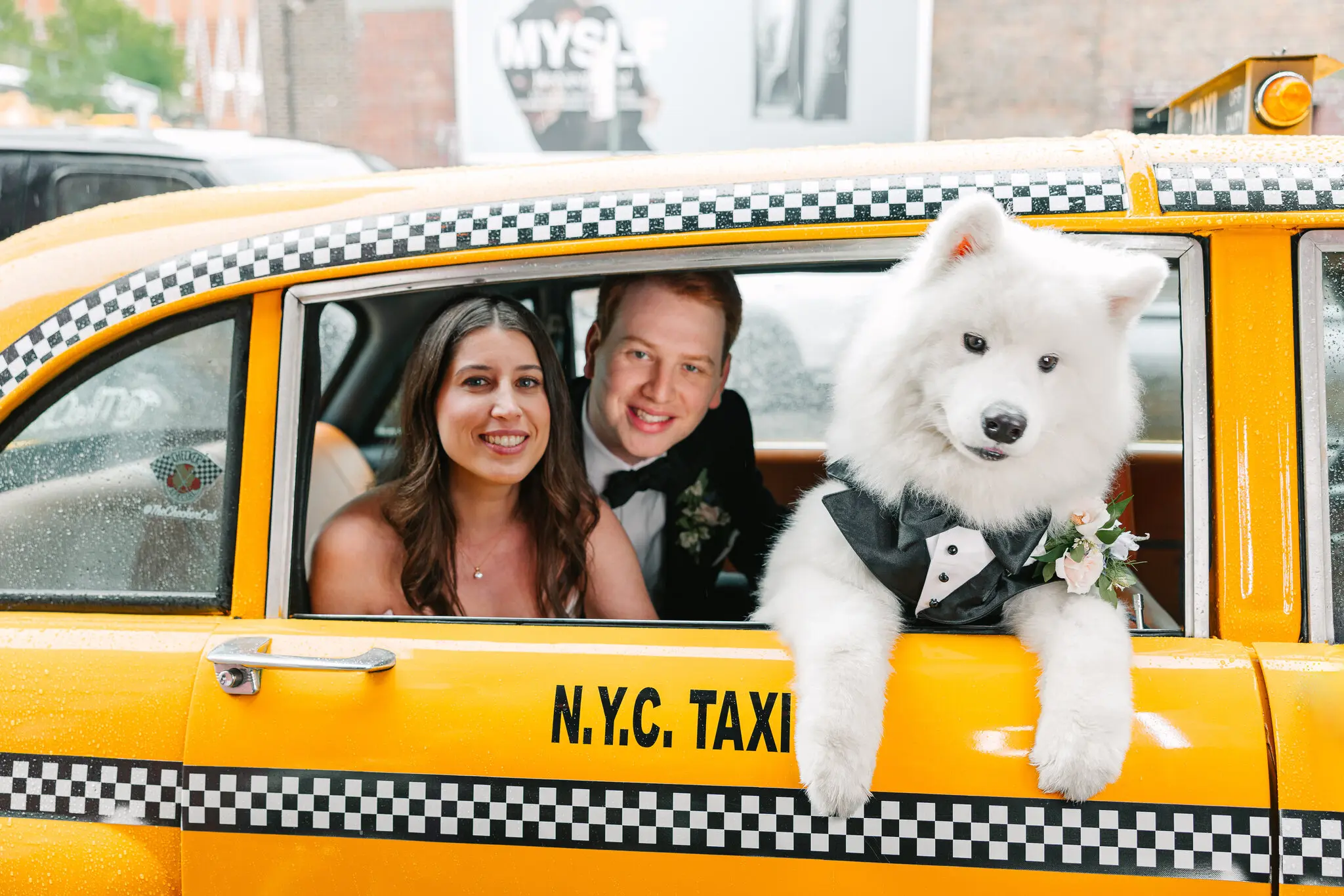 They Met at Summer Camp. Now Their Famous Dog Is Stealing Hearts.